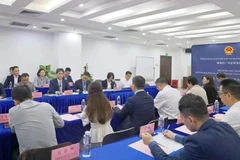 An overview of the seminar (Photo: Vietnamese Consulate General in Guangzhou)