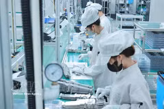 Production at Bumjim Electronics Vina Co., Ltd invested by the Republic of Korea in Quang Ninh province (Photo: VNA)