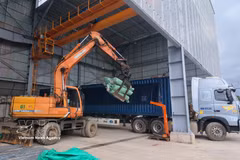 Machinery has been integrated into cargo handling lines, helping reduce labour requirements and improve import-export efficiency. (Photo: VNA) 