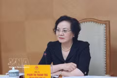 Deputy Prime Minister Pham Thi Thanh Tra at the meeting (Photo: VNA)