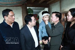 Deputy Prime Minister Tran Hong Ha (second, right) visits the child who survived in the accident. (Photo: VNA)