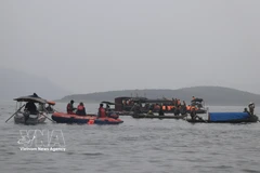 The rescue forces are searching for the missing (Photo: VNA)