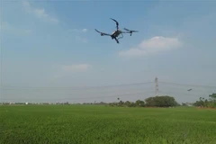 A drone used for pesticide spraying in agriculture (Photo: VNA) 