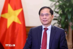 Vietnamese Deputy Prime Minister and Minister of Foreign Affairs Bui Thanh Son (Photo: VNA)