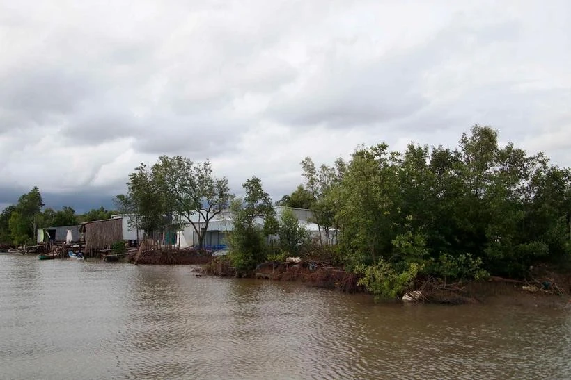 An eroded coastline section in Dat Mui commune, Ngoc Hien district, the southernmost province of Ca Mau. (Photo: VNA)