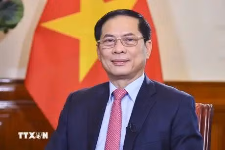 Foreign Minister Bui Thanh Son (Photo: VNA)
