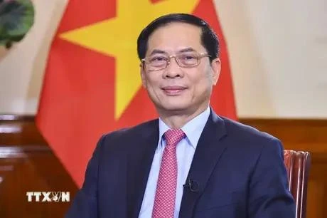 Foreign Minister Bui Thanh Son (Photo: VNA)