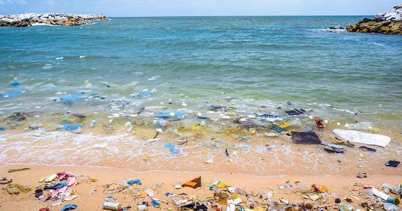 Illustrative image (Photo: Internet)