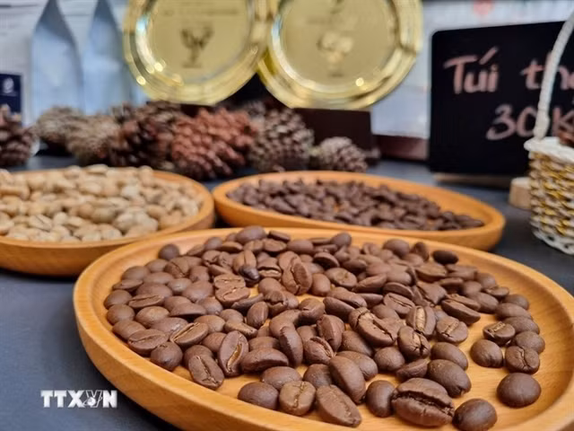 Roasted coffee beans. (Photo: VNA) 