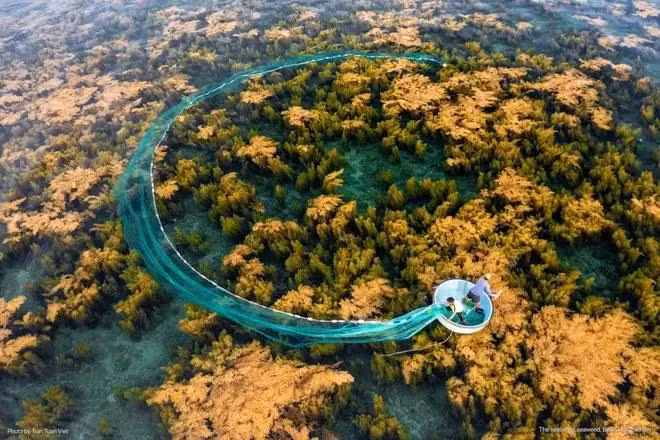 The beauty of natural landscape in Vietnam (Photo: Tran Tuan Viet)