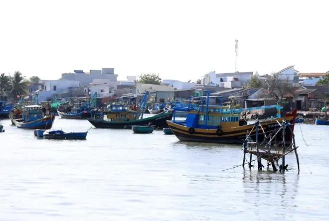 Fishing boats anchor on Ca Ty river, Phan Thiet city of Binh Thuan province (Photo: VNA)