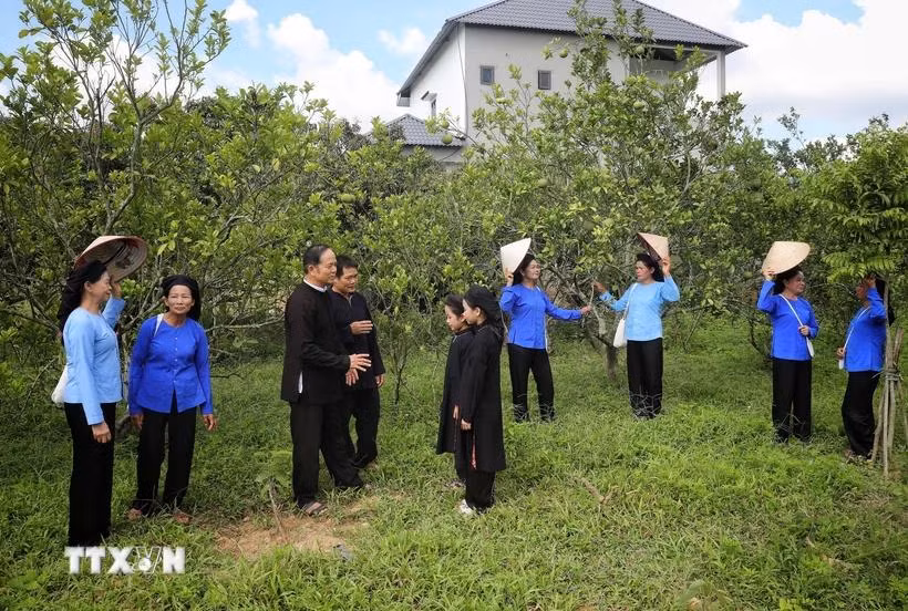 Meritorious artist Lam Minh Sap (right) and members of the San Chi folk song club practice singing San Chi folk songs. (Photo: VNA)