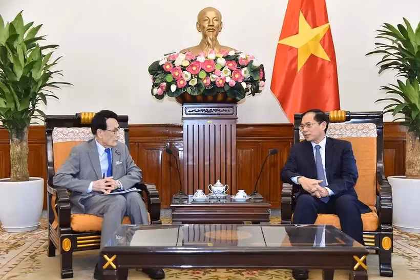 Minister of Foreign Affairs Bui Thanh Son (R) and Tokai Kisaburo, member of the House of Representative and Chairperson of the Policy Research Council under the Liberal Democratic Party of Japan. (Photo: VNA)