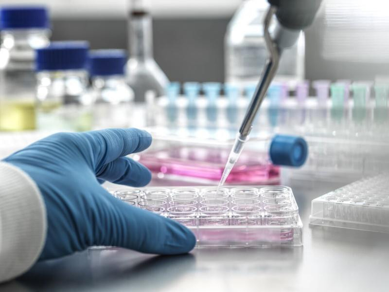 Singapore urges better stem cell bank supervision