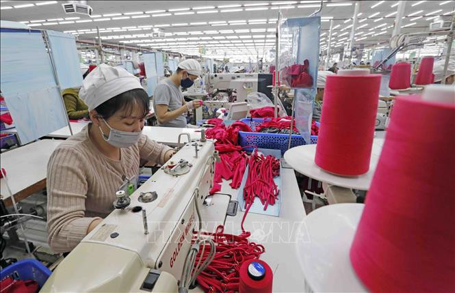 Production at SCAVI Hue, a French-invested garment company in Phong Dien Industrial Park, Phong Dien district, the central province of Thua Thien-Hue. (Photo: VNA)