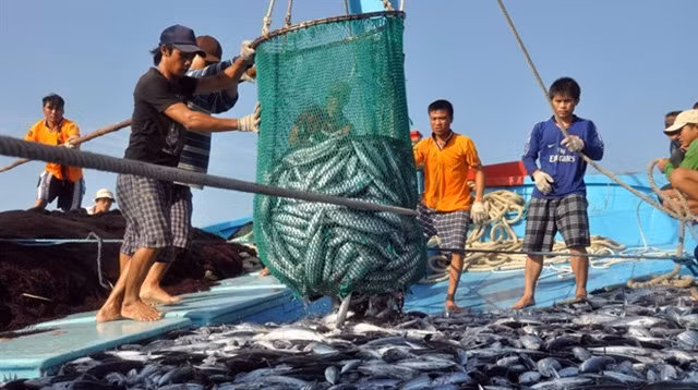 Fishermen in the central coastal province of Khanh Hoa. (Photo: VNA)