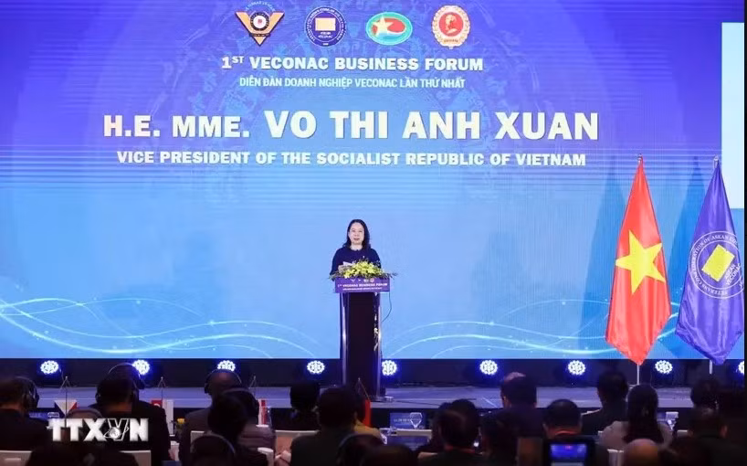 Vice State President of Vietnam Vo Thi Anh Xuan addresses the opening of the first Veterans Confederation of ASEAN Countries (VECONAC) Business Forum in Hanoi on October 25 (Photo: VNA)