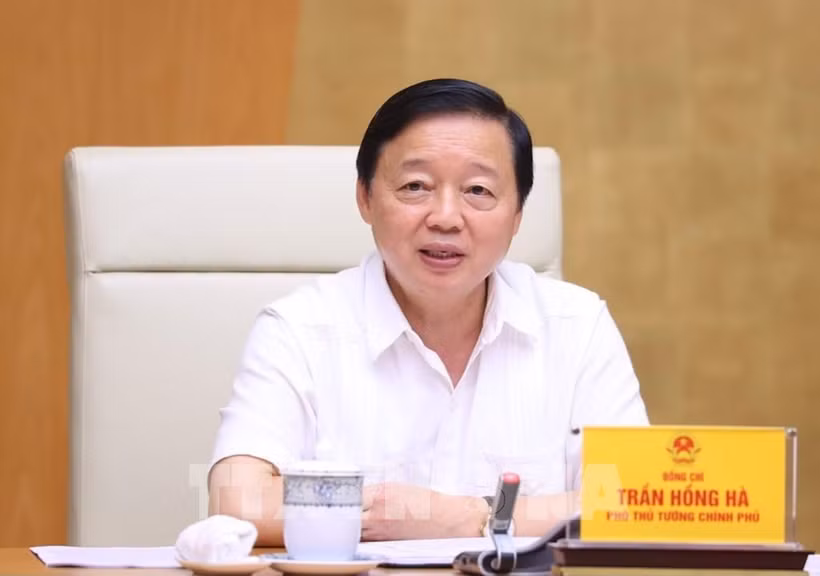Deputy Prime Minister Tran Hong Ha speaks at the meeting (Photo: VNA)