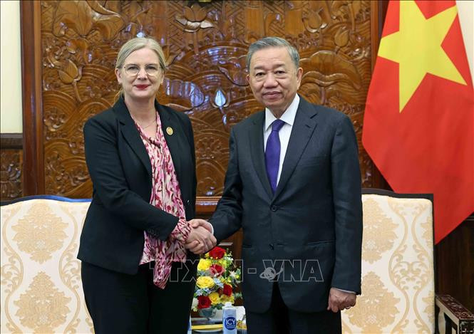 President To Lam (right) and Swedish Ambassador to Vietnam Ann Mawe. (Photo: VNA)