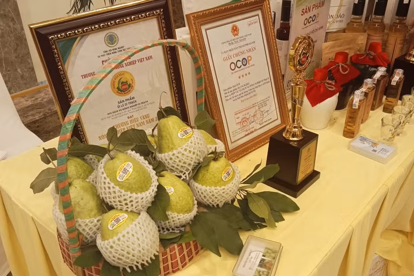 Di Trach guava (Photo: hanoimoi.vn)