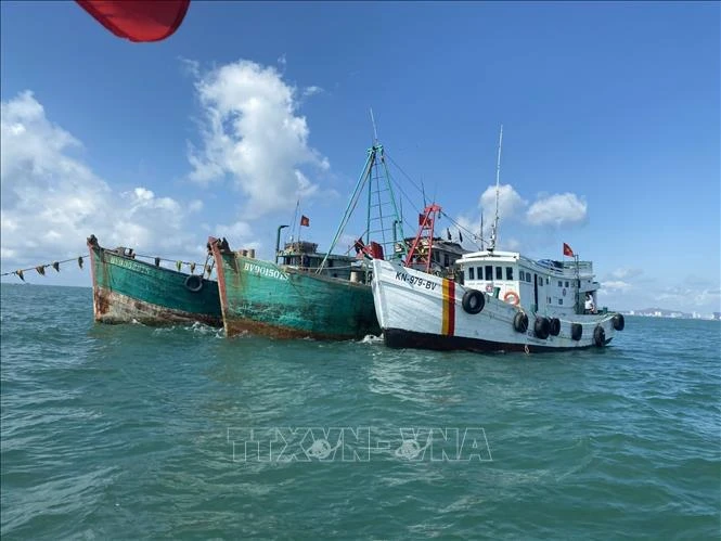 Ba Ria - Vung Tau authorities have discovered and handled six cases of violations of regulations against illegal, unreported and unregulated (IUU) fishing. (Photo: VNA)