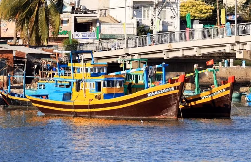 Fishing vessels from Binh Thuan province are moored on the Ca Ty river. (Photo: VNA)