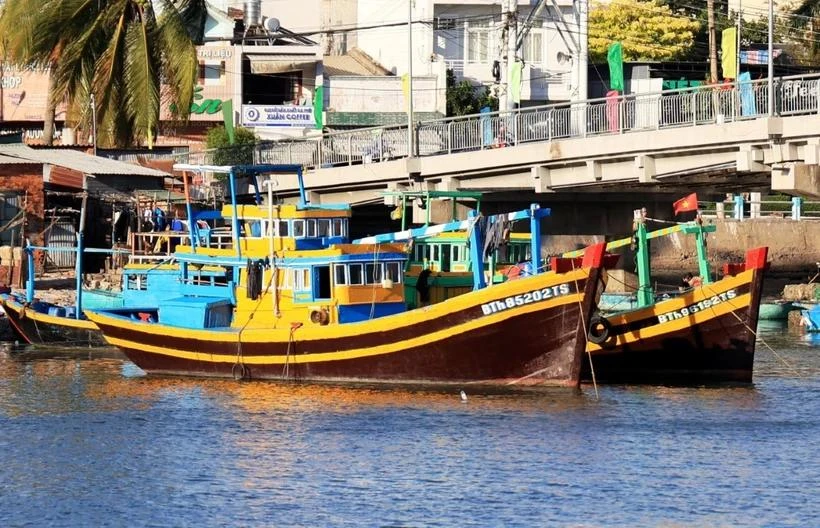 Fishing vessels from Binh Thuan province are moored on the Ca Ty river. (Photo: VNA)