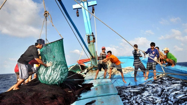 According to the sub-department of fisheries, coastal provinces and cities have deployed the eCDT system at 80 fishing ports and fish boarding points. (Photo navifeed.vn)