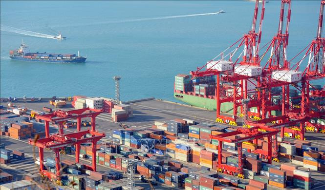 At a port in Busan city of the RoK (Photo: AFP)