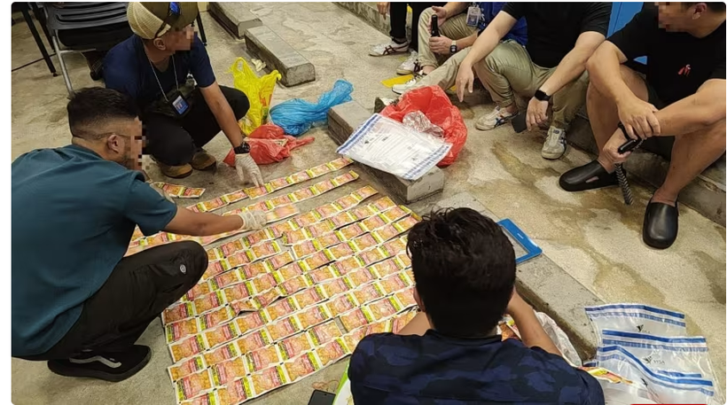 Health Sciences Authority officers counting the seized smokeless tobacco products. (Photo: HSA)