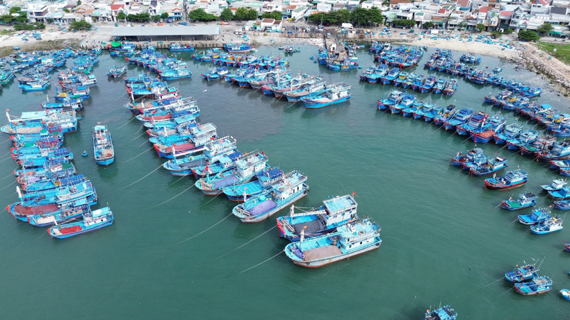 Fishing boats anchor at My Tan Port in Ninh Thuan province. (Photo: VNA)