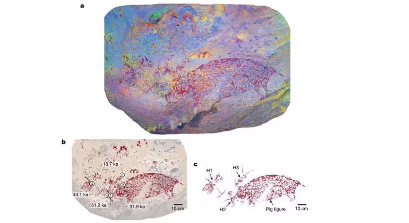 A painting in Indonesian cave (Photo: Griffith University/Nature)