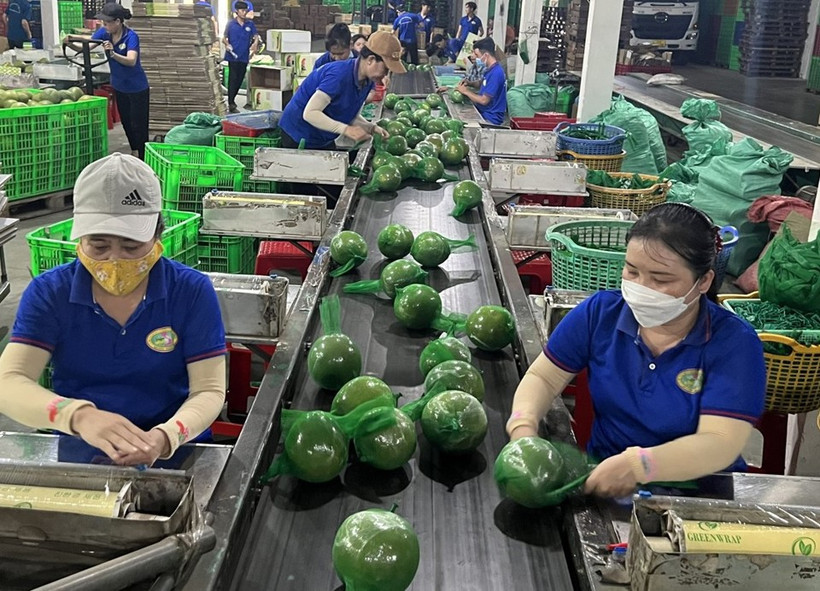 Export recovery helps boost Vietnam’s economic growth - Illustrative image (Photo: Internet)