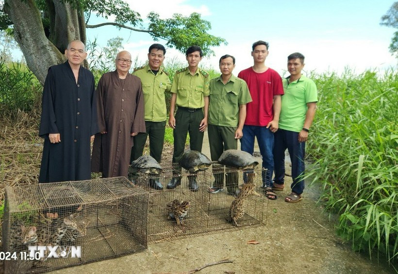 9 wild animals are released into the wild (Photo: VNA)