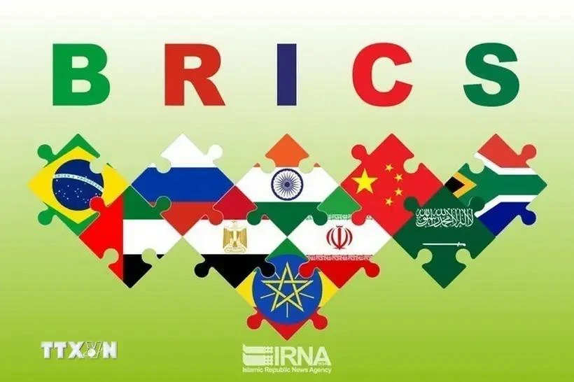 PM’s participation at BRICS+ Summit affirms Vietnam’s support to ...