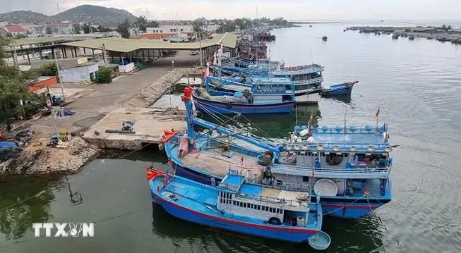 Fishing vessels docking at a port (Photo: VNA)