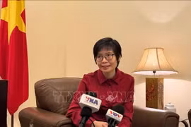 Ambassador Ton Thi Ngoc Huong, Permanent Representative of Vietnam to ASEAN, grants an interview to VNA correspondents in Jakarta. (Photo: VNA)