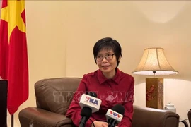 Ambassador Ton Thi Ngoc Huong, Permanent Representative of Vietnam to ASEAN, grants an interview to VNA correspondents in Jakarta. (Photo: VNA)