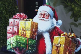 Ninh Binh glows with Christmas spirit