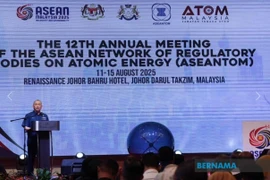 Malaysia calls for nuclear governance in ASEAN