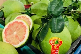 Vietnamese pomelo in final stage for export to Australia 