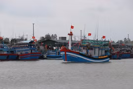 Quang Ngai supports fishermen in livelihood transition