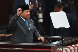 Indonesian President Prabowo Subianto (Photo: Antara)