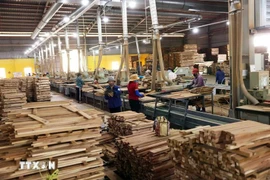 At a furniture production factory in Quy Nhon city (Photo: VNA)