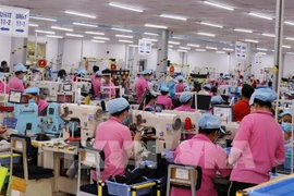 Footwear production for export at the Vinh Hoa Hung Nam Industrial Cluster, An Giang province (Photo: VNA)