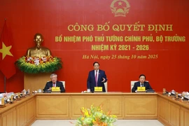 PM hands over appointment decisions to new Deputy PMs and ministers