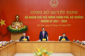 PM hands over appointment decisions to new Deputy PMs and ministers