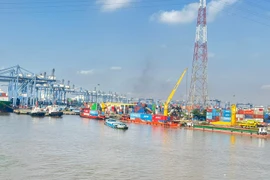 Vietnam ships some 119.5 billion USD worth of products to the US in 2024. (Photo: VietnamPlus)