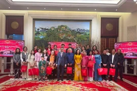 Overseas Vietnamese communities share Tet warmth