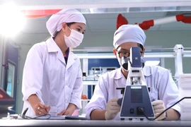 Scientific research at the laboratory of CVI Pharma High-tech Pharmaceutical Factory (Photo: hanoimoi.vn)